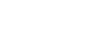 Grupo Lins Ferrão