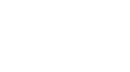 Grupo Lins Ferrão